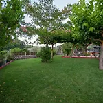 Rock Garden * Marandokhórion
